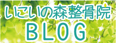 いこいの森整骨院ブログ