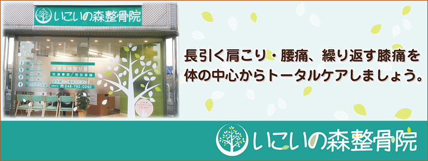 いこいの森整骨院トップ